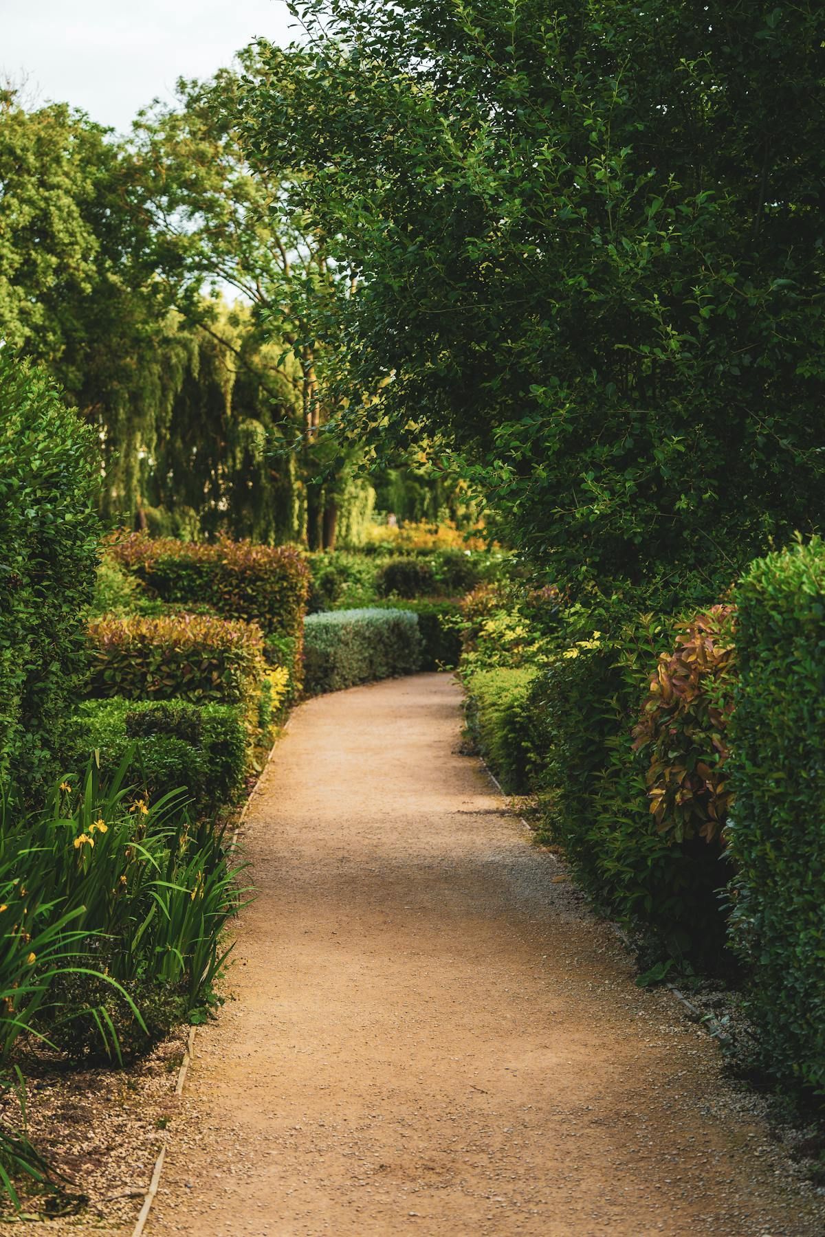 A serene garden path lined with lush greenery and filtered sunlight