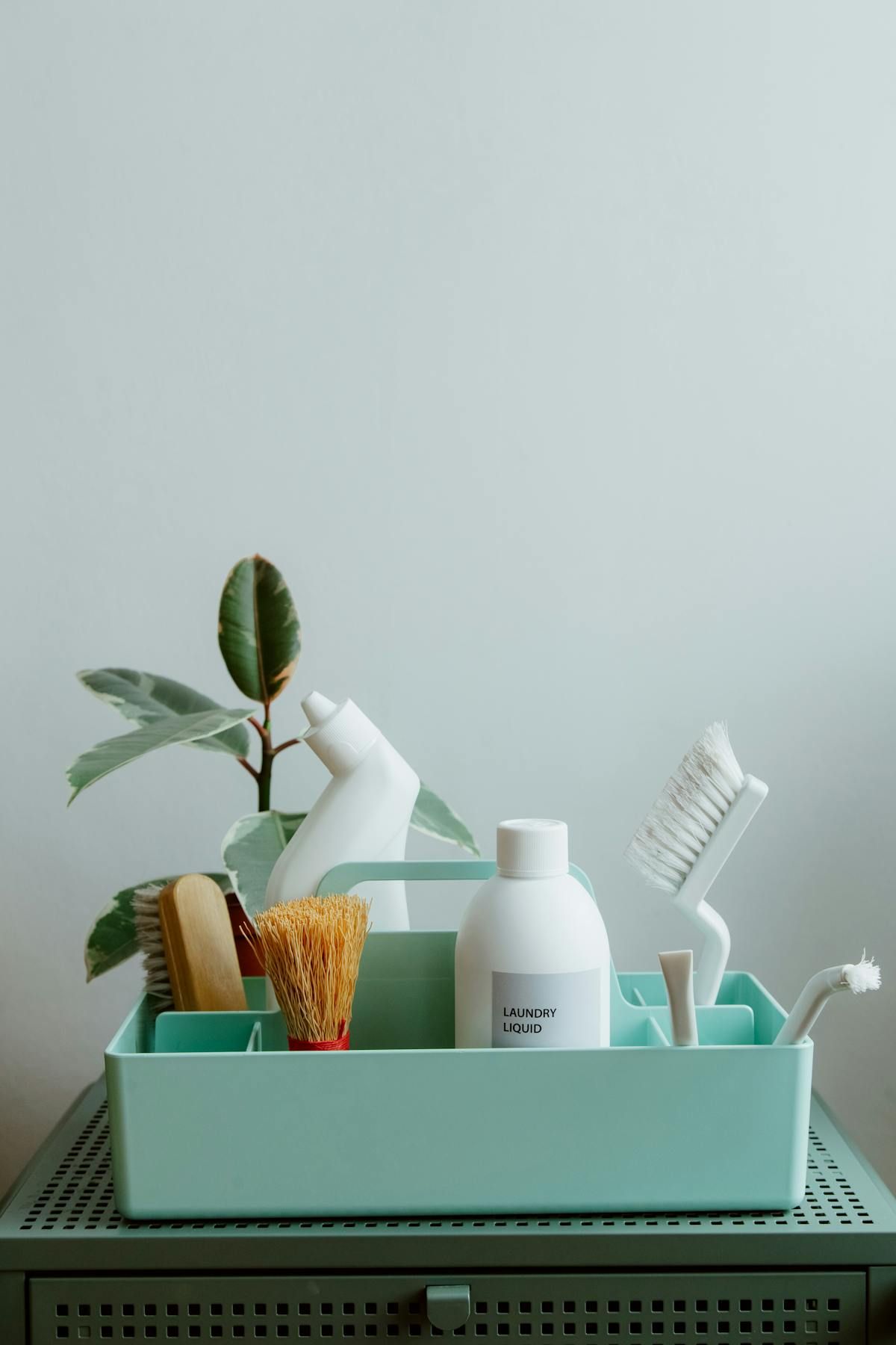 Eco-friendly plant-based cleaning supplies arranged on a shelf